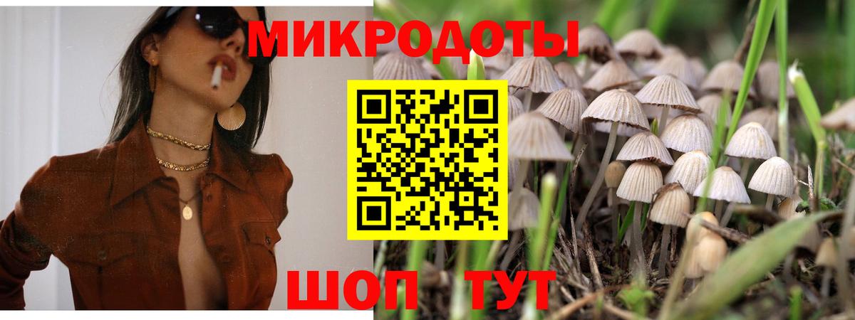 Псилоцибиновые грибы мицелий  Вход с VPN  Электрогорск 